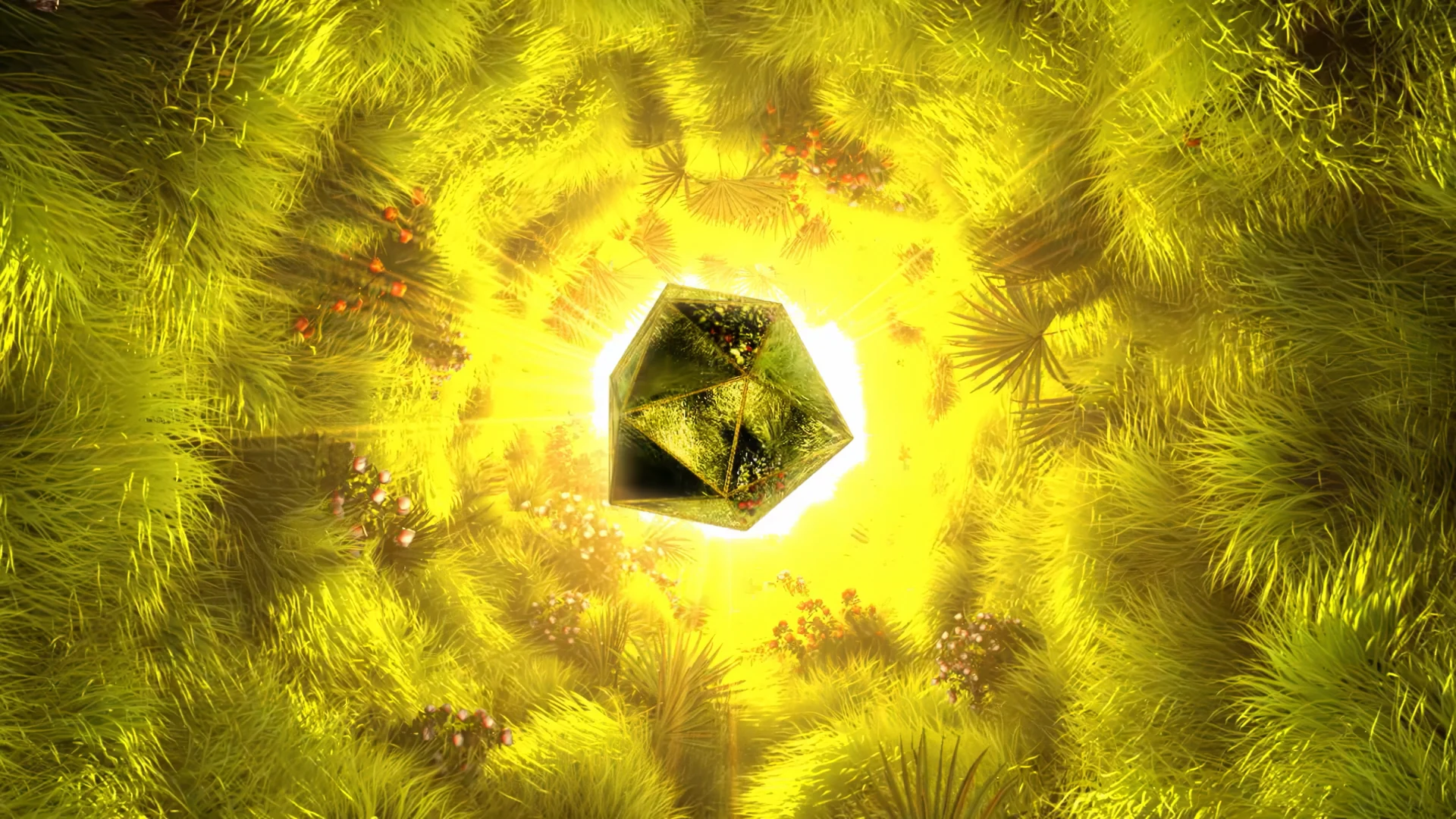 Quest Festival Intro
