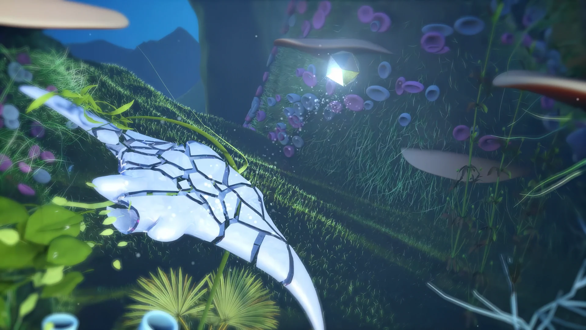 Quest Festival Intro